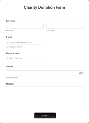 Responsive Charity Donation Form Template