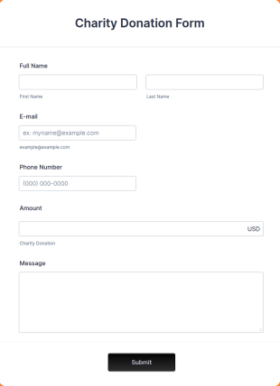 Responsive Charity Donation Form Template