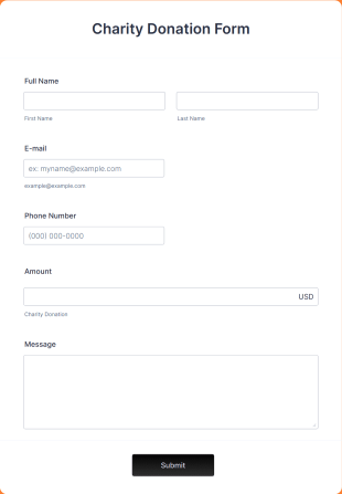 Responsive Charity Donation Form Template