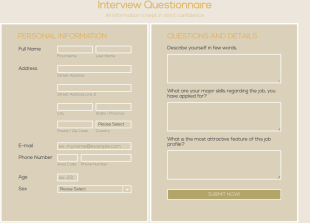 Responsive Interview Questionnaire Form Template