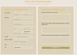 Responsive Interview Questionnaire Form Template