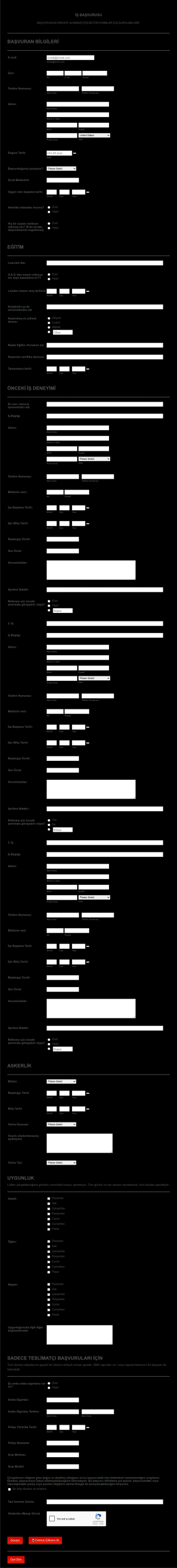 Restoran İş Başvuru Form Şablonu