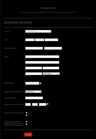 Restoran İş Başvuru Form Template