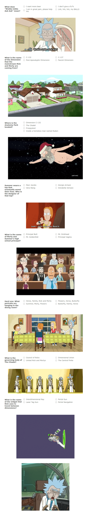 Rick And Morty Trivia Form Template