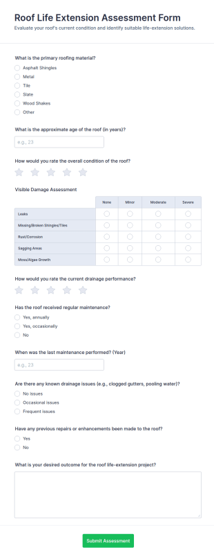 Roof Life Extension Assessment Form Template