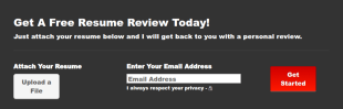Rosie Resumes Home Review Form Template