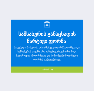 სამსახურის განაცხადის მარტივი ფორმა? Form Template