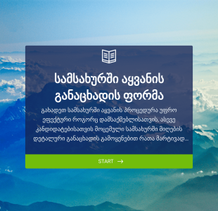 სამსახურში მიღების განაცხადის ფორმა Form Template