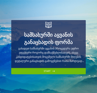 სამსახურში მიღების განაცხადის ფორმა