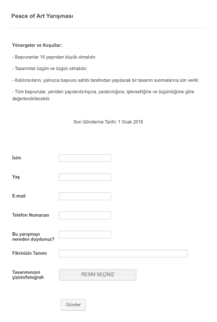 Sanat Yarışması Başvuru Form Şablonu