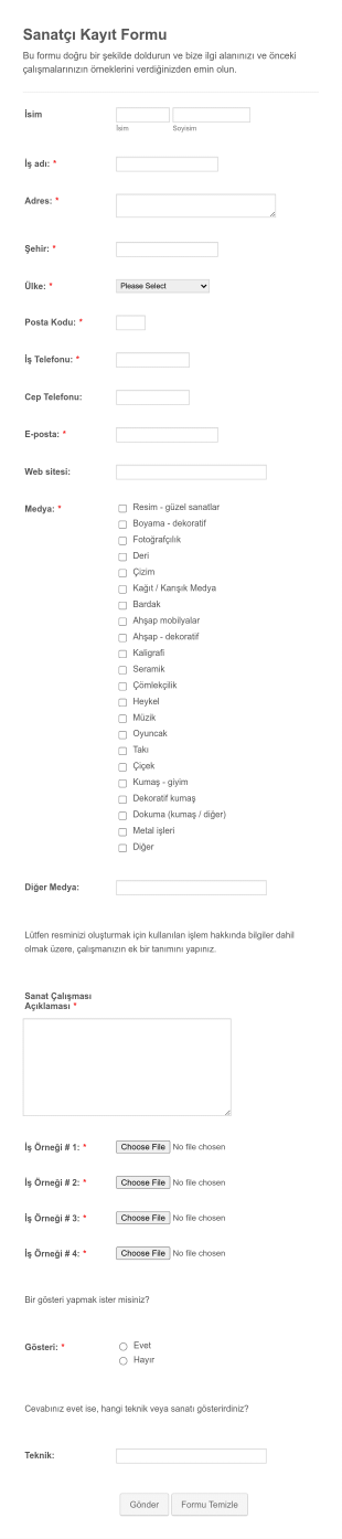 Sanatçı Başvuru Form Şablonu