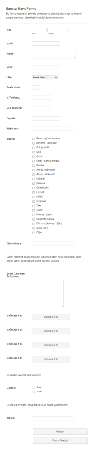 Sanatçı Başvuru Form Şablonu