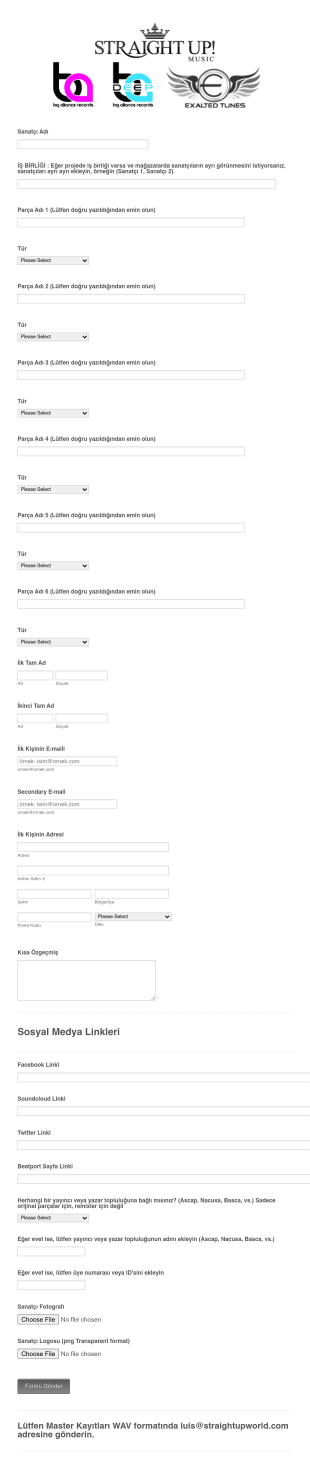 Sanatçı Bilgi Form Template