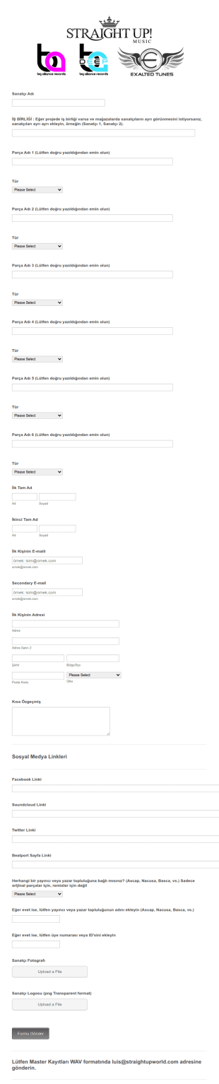 Sanatçı Bilgi Form Şablonu