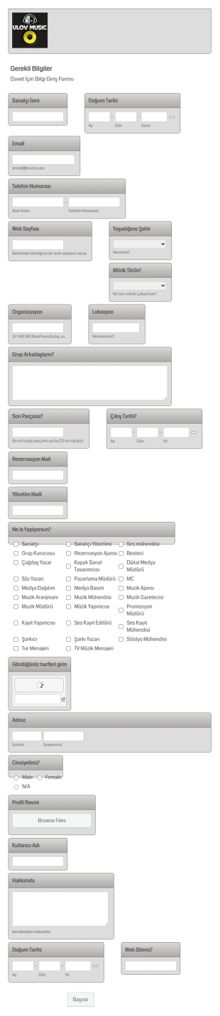 Sanatci Bilgi Toplama Form Şablonu