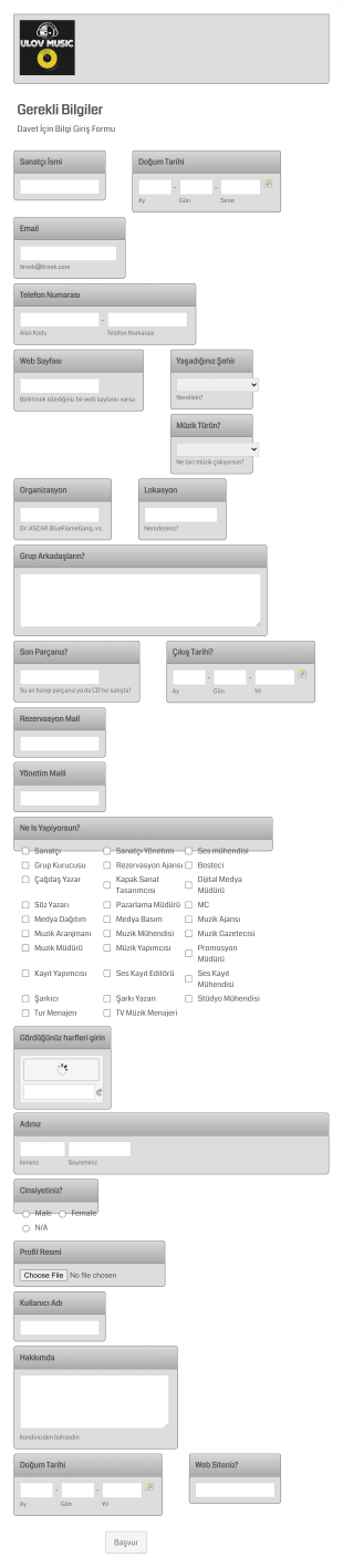 Sanatci Bilgi Toplama Form Şablonu