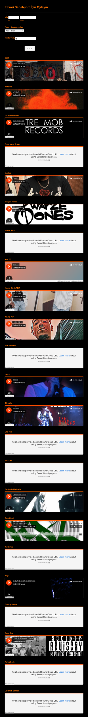 Sanatçı Oylama Form Template