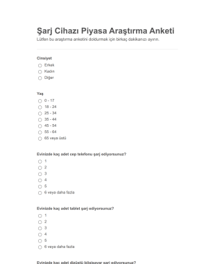 Şarj Cihazı Piyasa Araştırma Anketi Form Şablonu