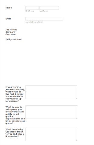 SASS SDR Hiring Stage 2 (Single) Form Template