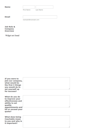 SASS SDR Hiring Stage 2 (Single) Form Template