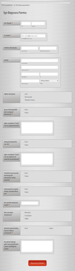 Satış Elemanı İş Başvurusu Form Template