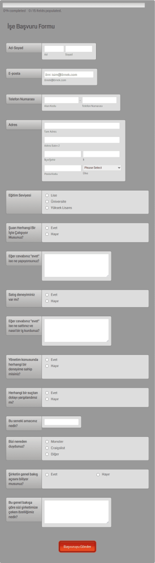 Satış Elemanı İş Başvurusu Form Şablonu