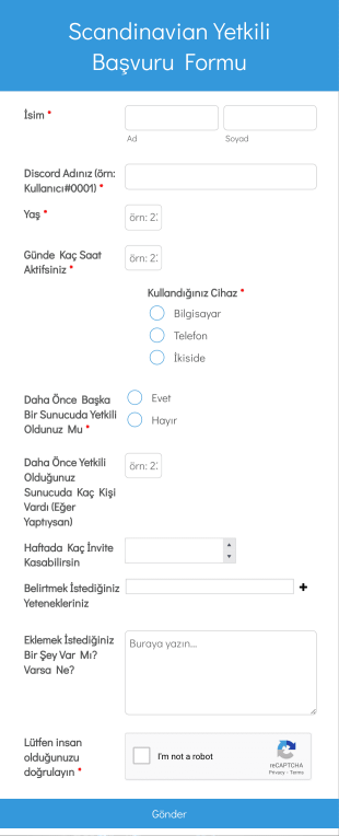 Scandinavian Yetkili Başvuru Form Şablonu