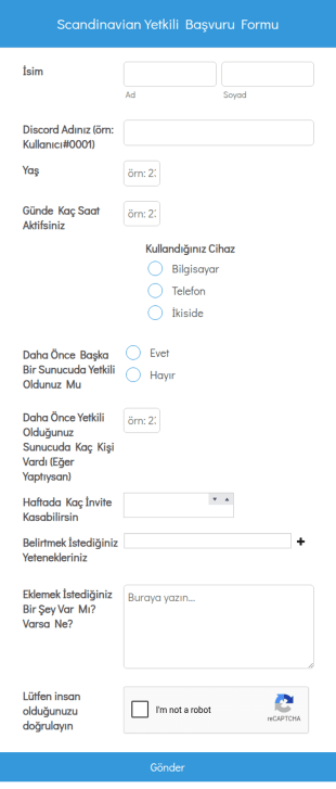 Scandinavian Yetkili Başvuru Form Şablonu