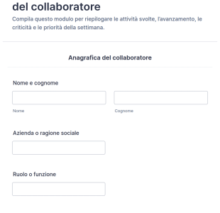 Scheda Di Rendicontazione Settimanale Per Collaboratori