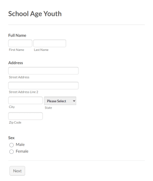 School Age Youth Counseling Form Template