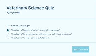 School Quiz Form Template