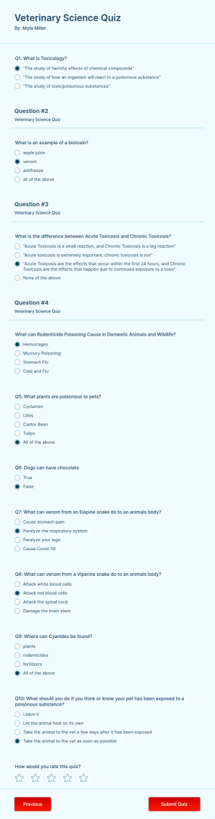 School Quiz Form Template