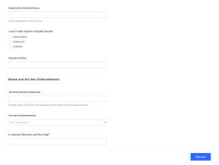 Formular Für Unternehmensinformationen Form Template