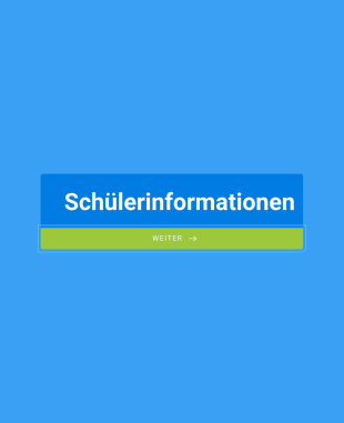 Schulanmeldung Formularvorlage Form Template