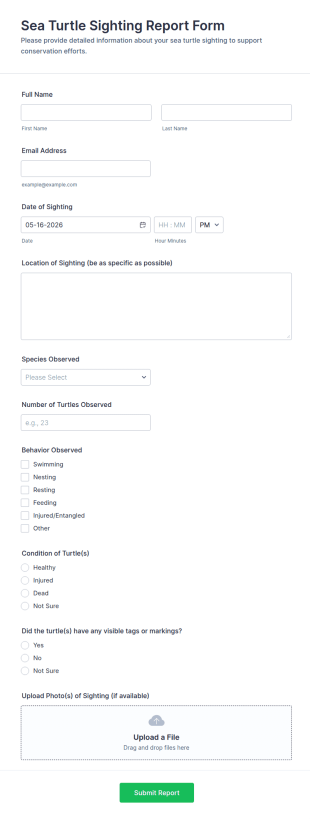 Sea Turtle Sighting Report Form Template