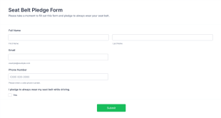 Seat Belt Pledge Form Template