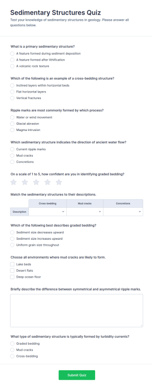 Sedimentary Structures Quiz Form Template