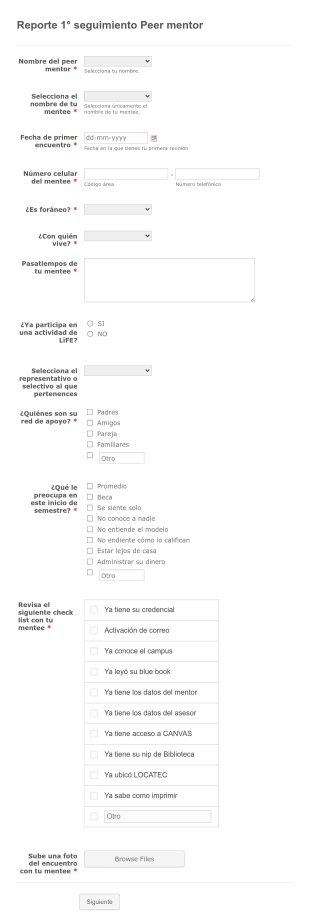 Seguimiento Mentor De Compañero