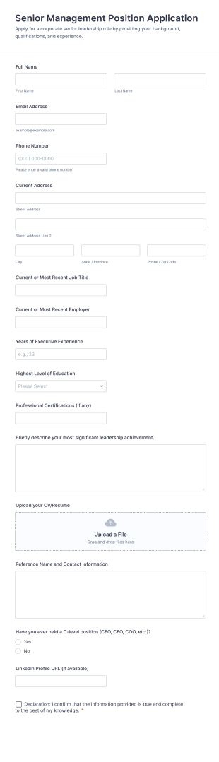 Senior Management Position Application Form Template