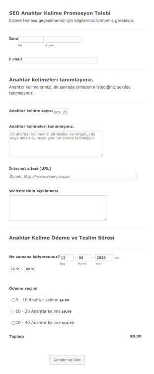 SEO Anahtar Kelime Promosyon Talep Form Şablonu