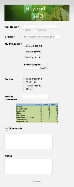 Seo Form Template