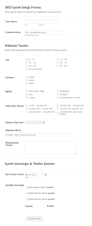 SEO İçerik İsteği Form Şablonu