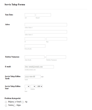 Servis Talep Form Şablonu