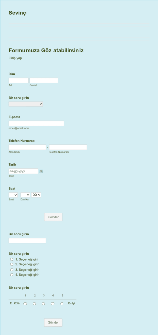 Sevinç Form Template