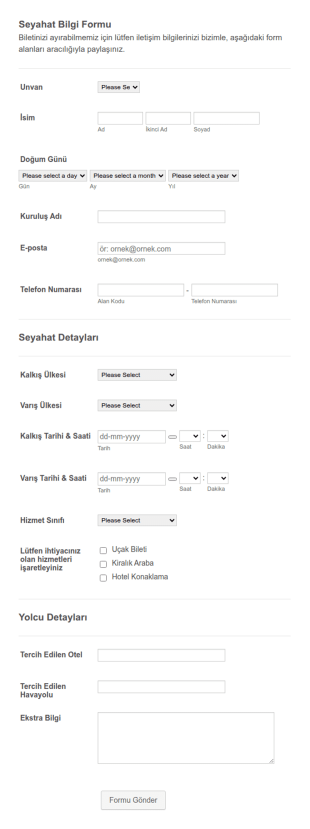Seyahat Bilgi Form Şablonu