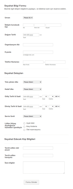 Seyahat Bilgilendirme Form Şablonu
