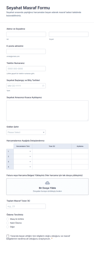 Seyahat Masraf Form Şablonu