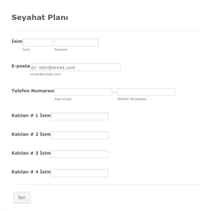 Seyahat Planı Form Template
