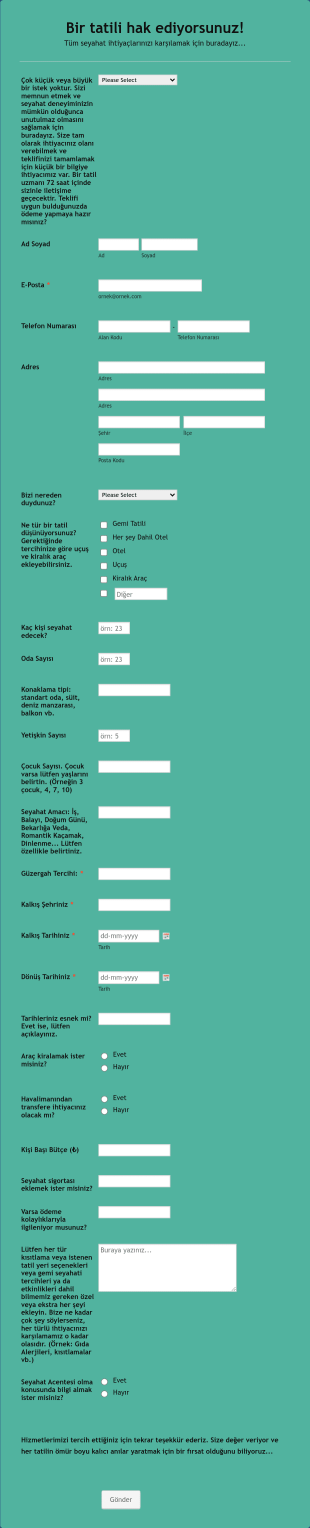 Seyahat Planlama Form Template
