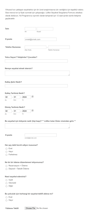 Seyahat Soruşturma Form Şablonu